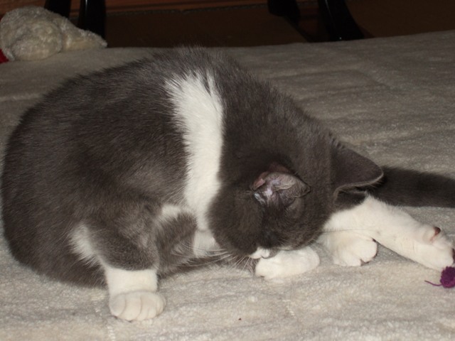 f0032020_1333335.jpg