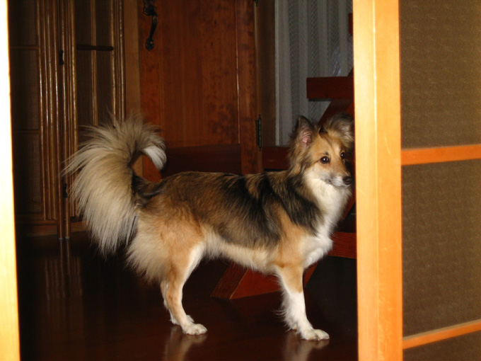 c0030624_739187.jpg