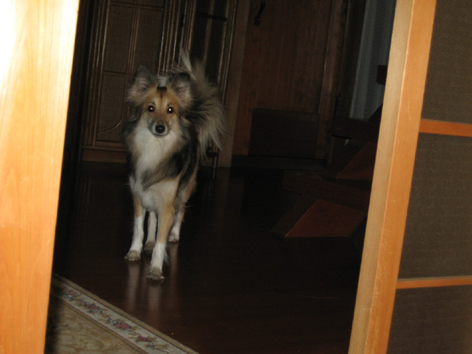 c0030624_7393271.jpg