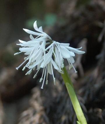 b0039226_20493533.jpg