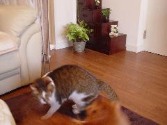 f0088731_23131725.jpg
