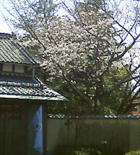 c0035043_22534447.jpg
