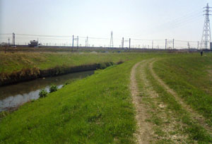 c0035043_22562094.jpg