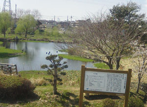 c0035043_22593646.jpg
