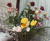 b0039246_15205250.jpg