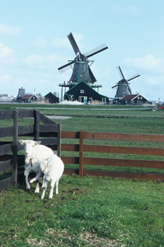 f0073254_1194352.jpg