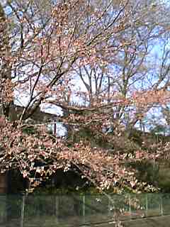 f0055956_9343977.jpg