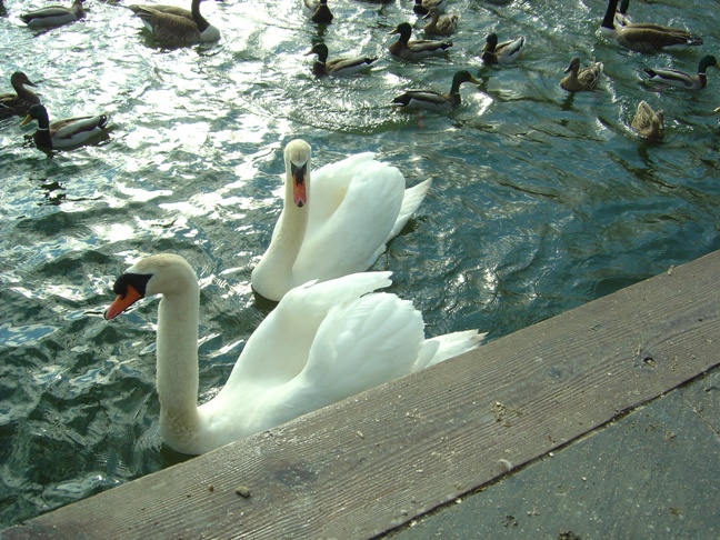 c0055857_3104293.jpg