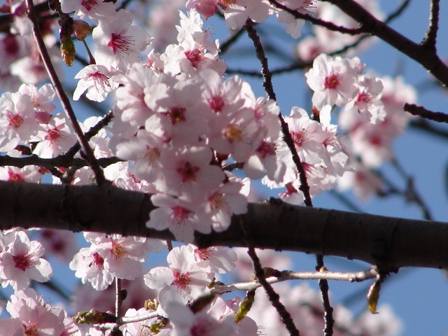 b0061261_2146821.jpg