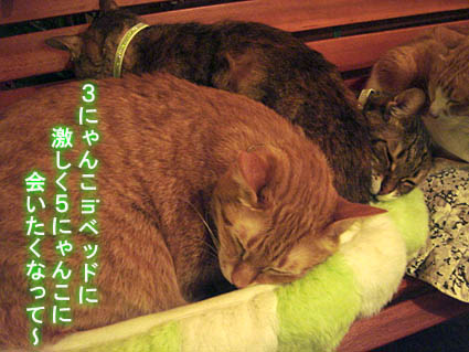 a0055567_1554296.jpg