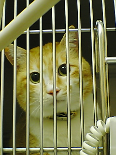 f0095271_2346778.jpg