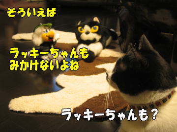 b0041182_1375656.jpg