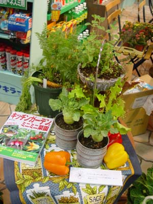 e0008586_2293912.jpg