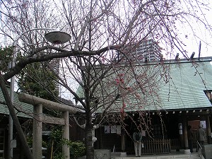 f0093592_16464043.jpg