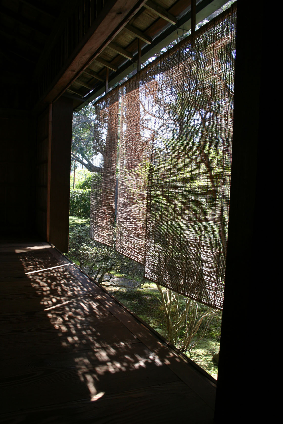 f0078493_22464979.jpg