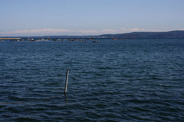 a0067201_8142264.jpg