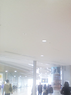 c0055305_22423543.jpg