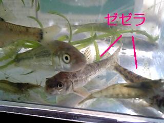 f0034007_16403637.jpg