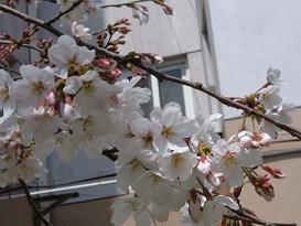 a0026611_21183529.jpg
