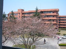 a0026611_2118766.jpg