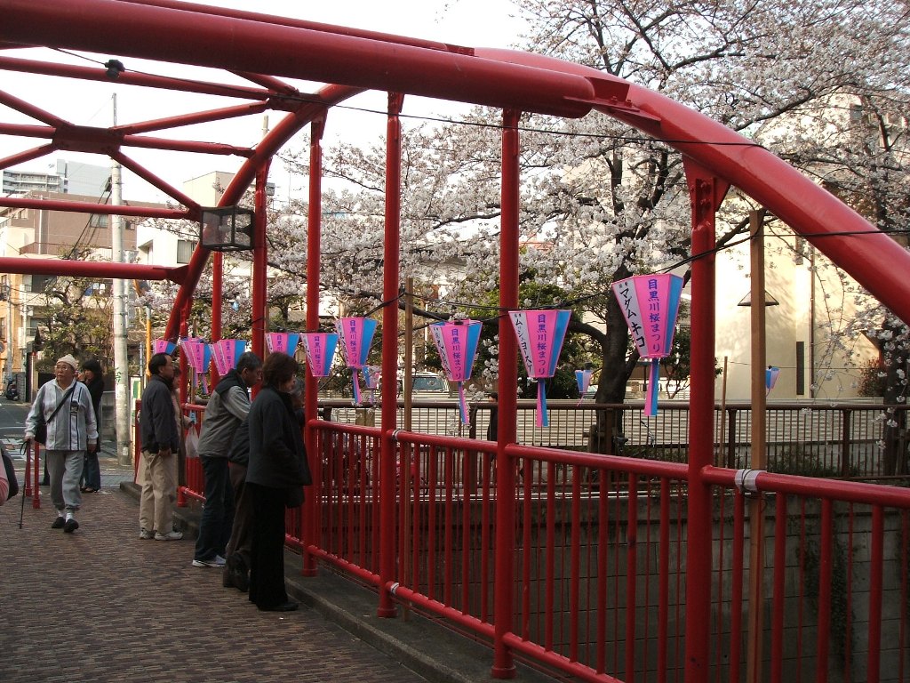 b0030011_20243555.jpg