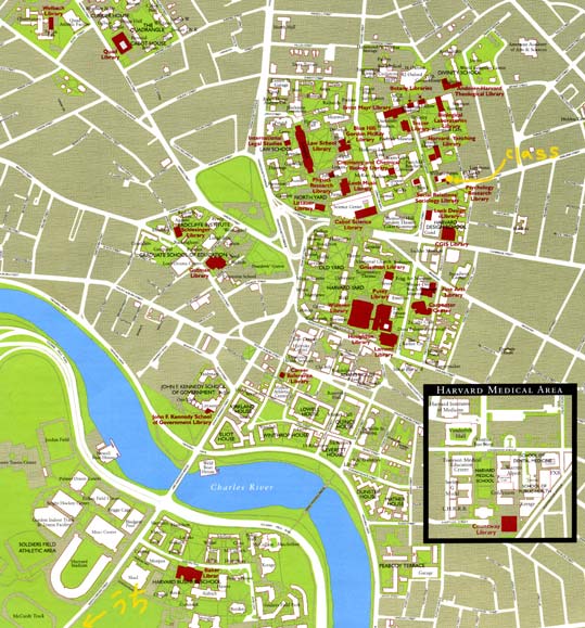 ハーバード大学の図書館 ...