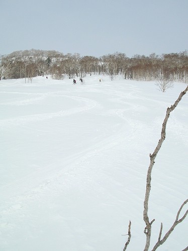 c0048117_18352132.jpg