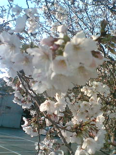 f0011022_2256442.jpg