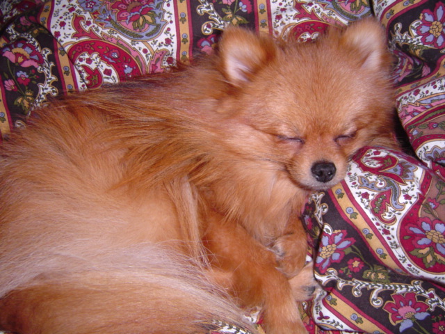 f0012924_28555.jpg