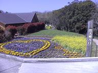 d0054930_22411876.jpg