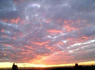 f0053734_0395871.jpg