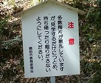 a0055835_1213266.jpg