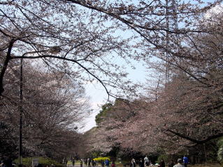 f0094843_1324829.jpg