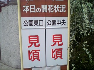 f0053847_15205126.jpg