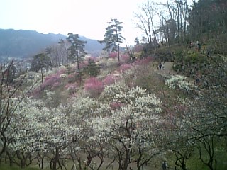 f0053847_15223559.jpg