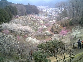 f0053847_15232251.jpg