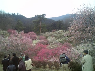 f0053847_15255171.jpg