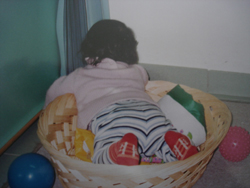 c0068149_6522030.jpg