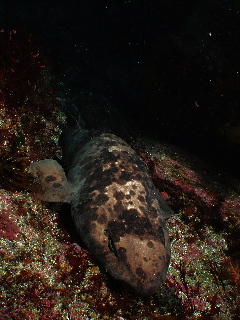 d0021952_232499.jpg
