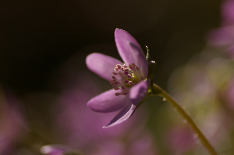 a0009554_2326715.jpg
