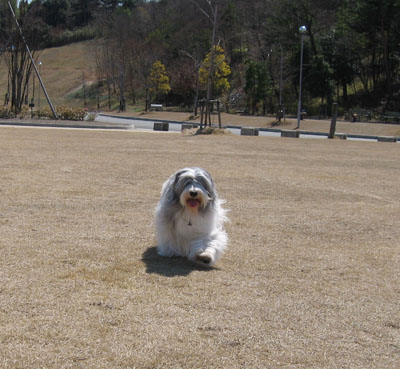 b0050356_28110.jpg