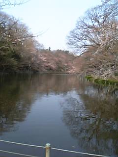 f0055956_2311794.jpg
