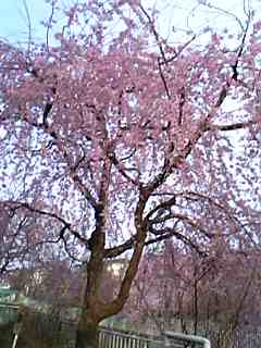 f0055956_23355074.jpg
