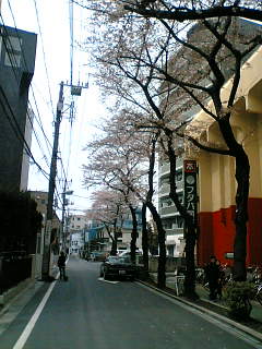 e0083359_2253627.jpg