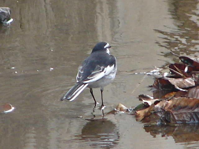 b0061261_2057125.jpg