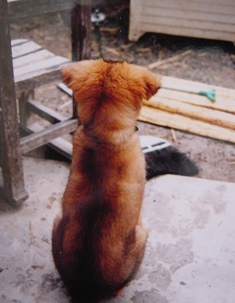 e0015964_22171255.jpg