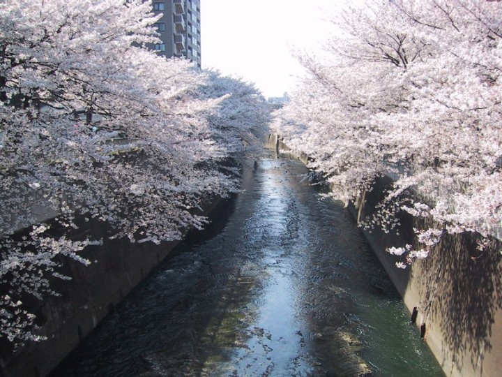 f0055668_8232990.jpg