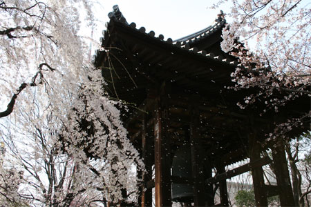a0058669_177529.jpg