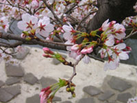 f0025769_2043097.jpg