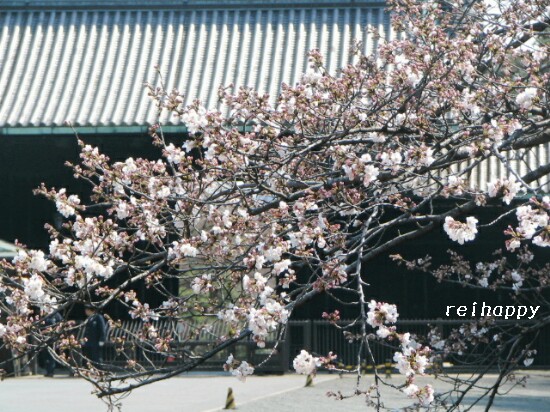 d0019770_445174.jpg